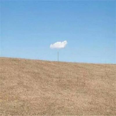 beat365手机版客户端