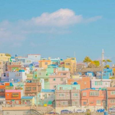 beat365手机版客户端